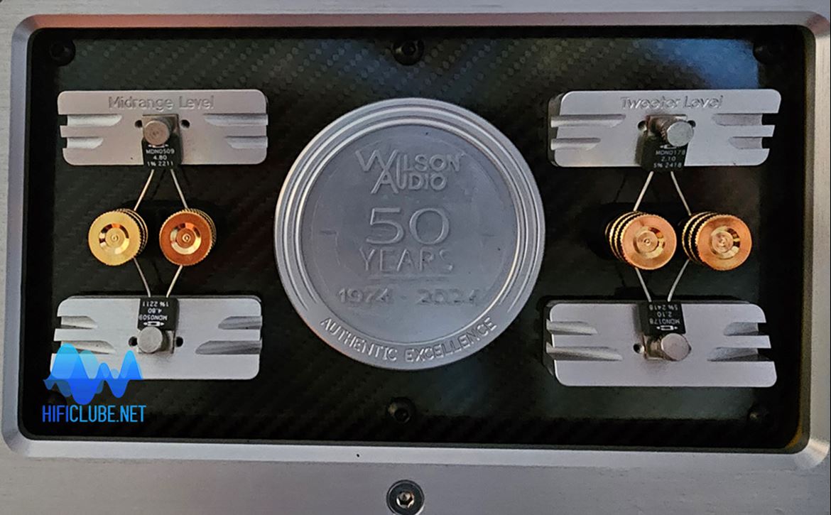 At the back, you will find the tuning resistors plate and the 50th anniversary Medallion.