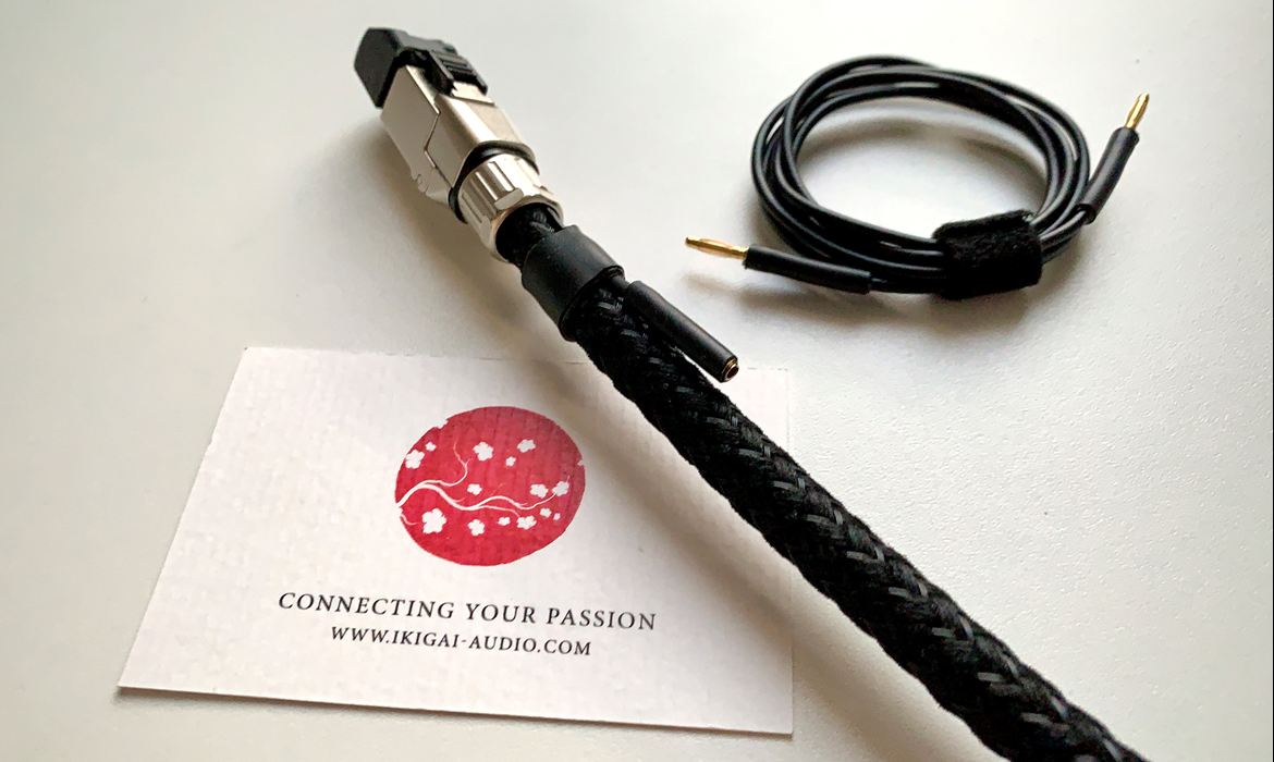 Ikigai Kangai Ethernet