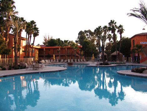 The Show Muda-se Para A Strip